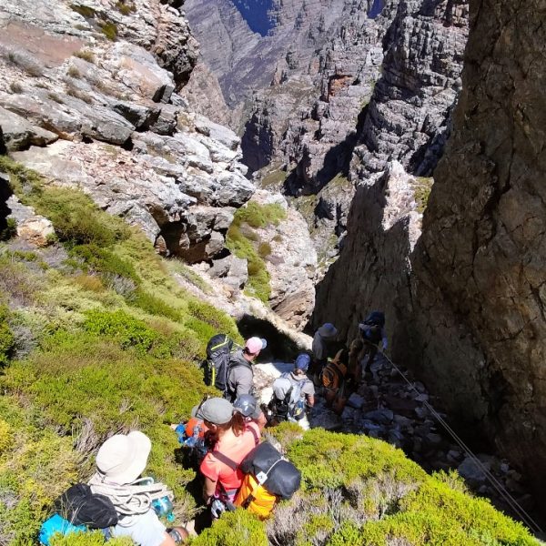 WhatsApp Image 2024-06-26 at 10.42.47